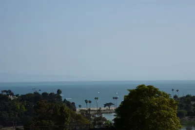 DSC_2467 (Large).JPG